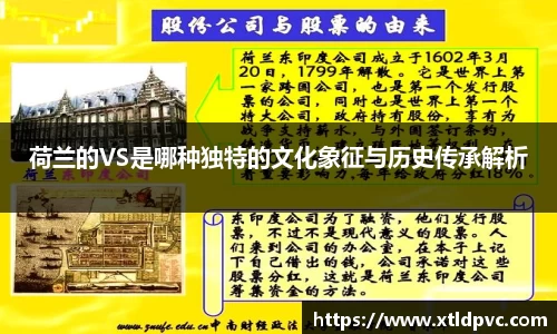荷兰的VS是哪种独特的文化象征与历史传承解析